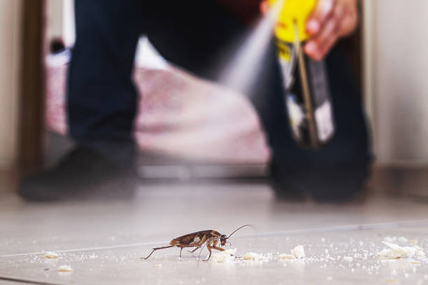 Best Pest Control Near Me in Wink, TX