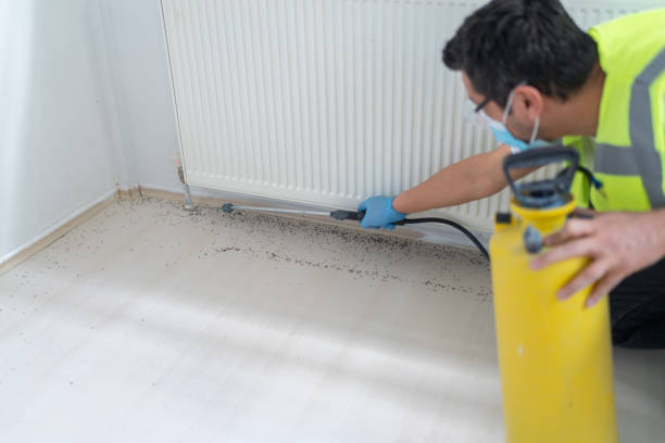 Best Affordable Pest Control Services  in Wink, TX