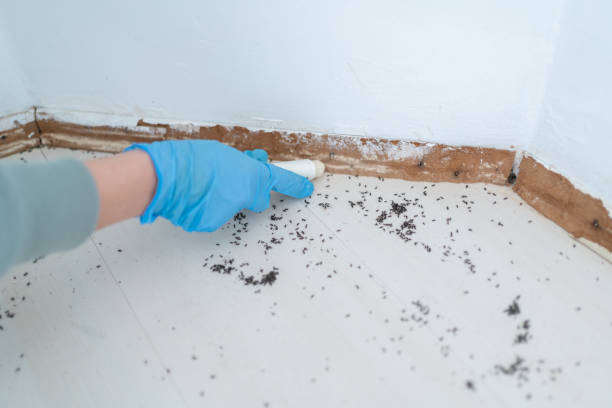 Best Best Pest Control Companies  in Wink, TX
