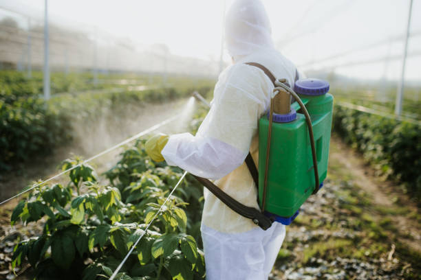 Pest Prevention Services in Wink, TX